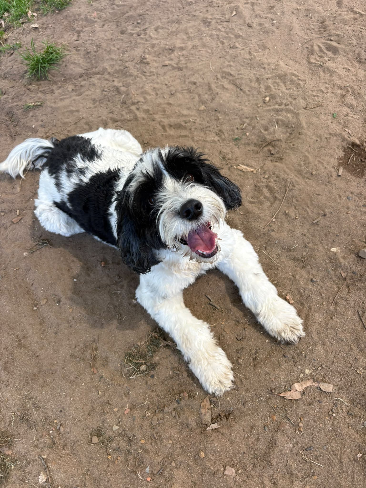 Bailee at Bloomingtails by the lake