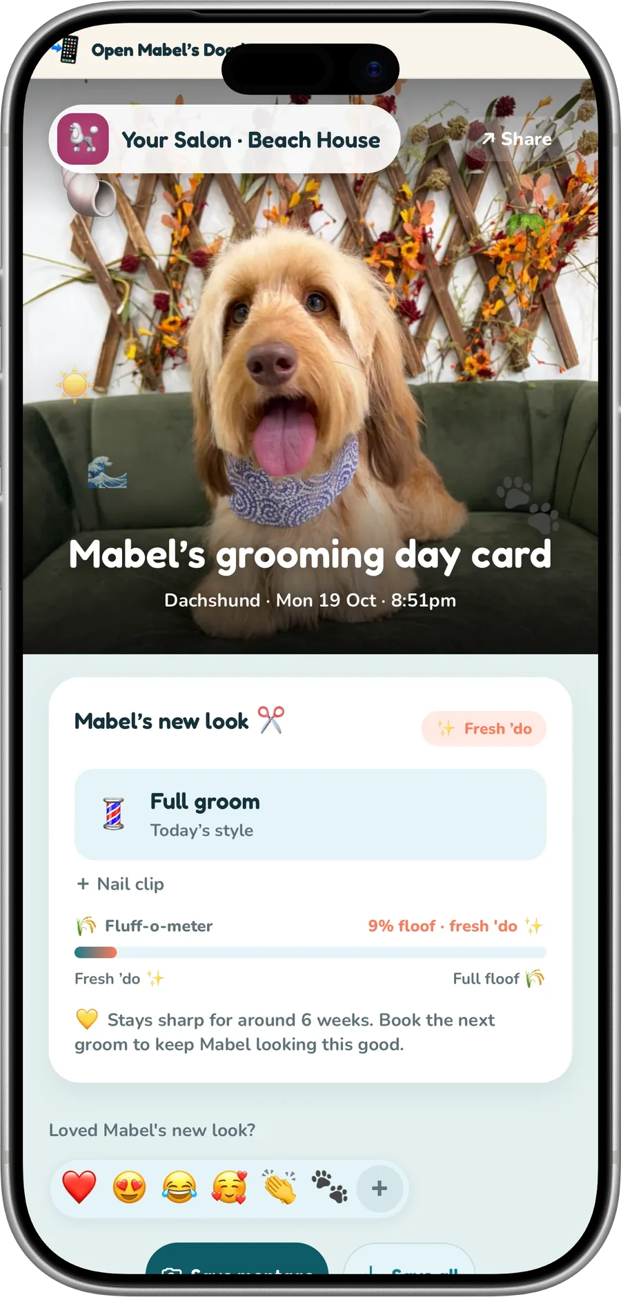 Booked on their own website, on an iPhone