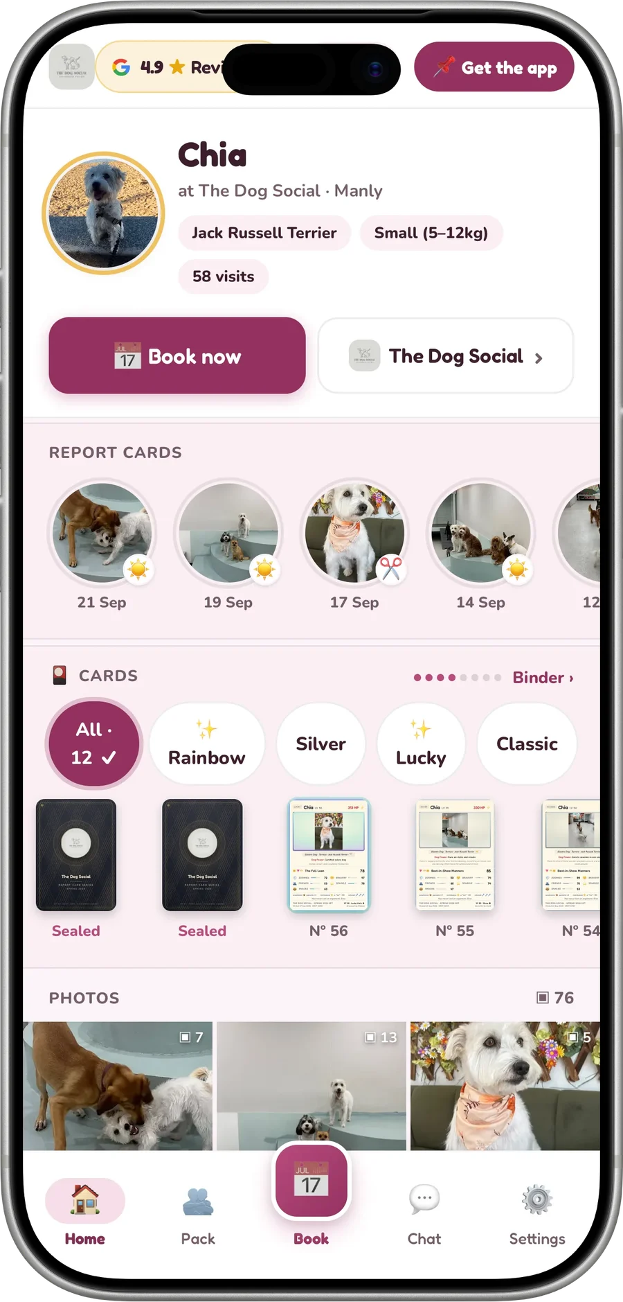 The Dogdoor on an iPhone