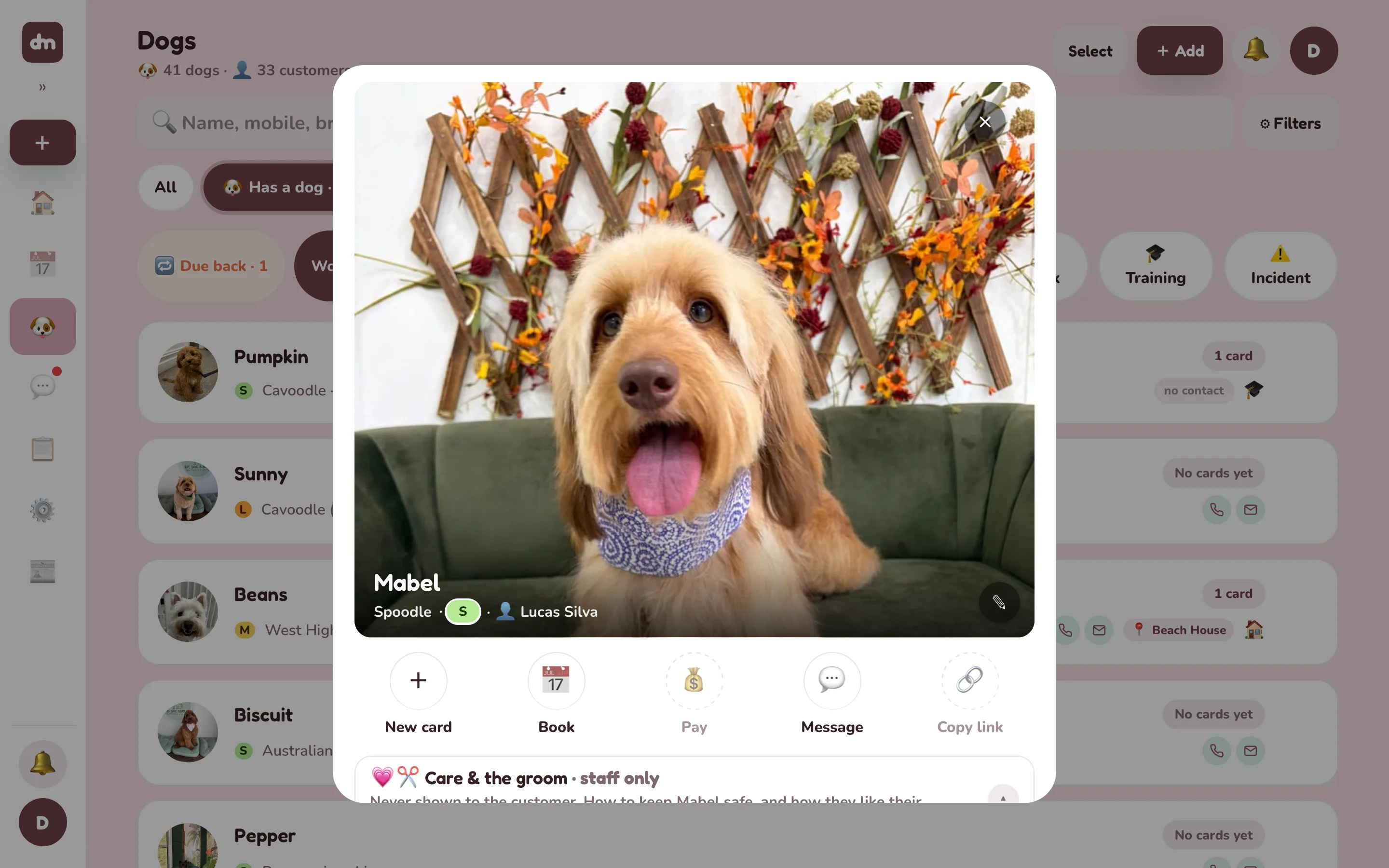 Mabel's profile in the shop's app, on a laptop: her photo first, then her care and her cards