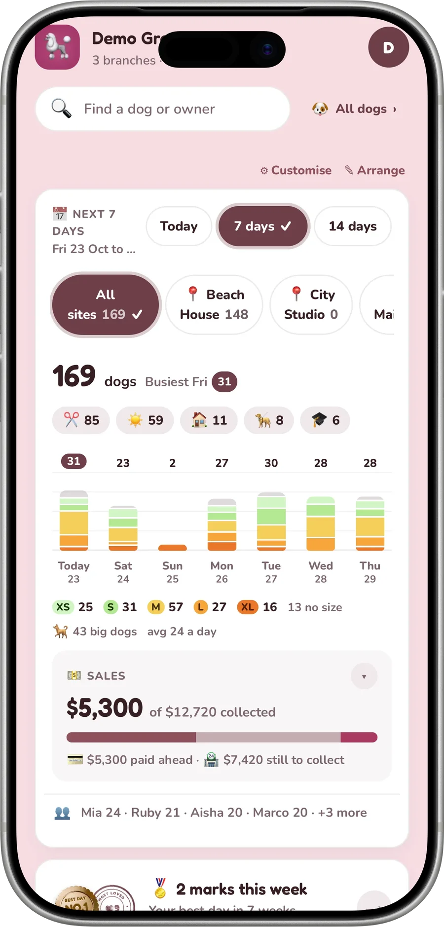 The home screen on an iPhone