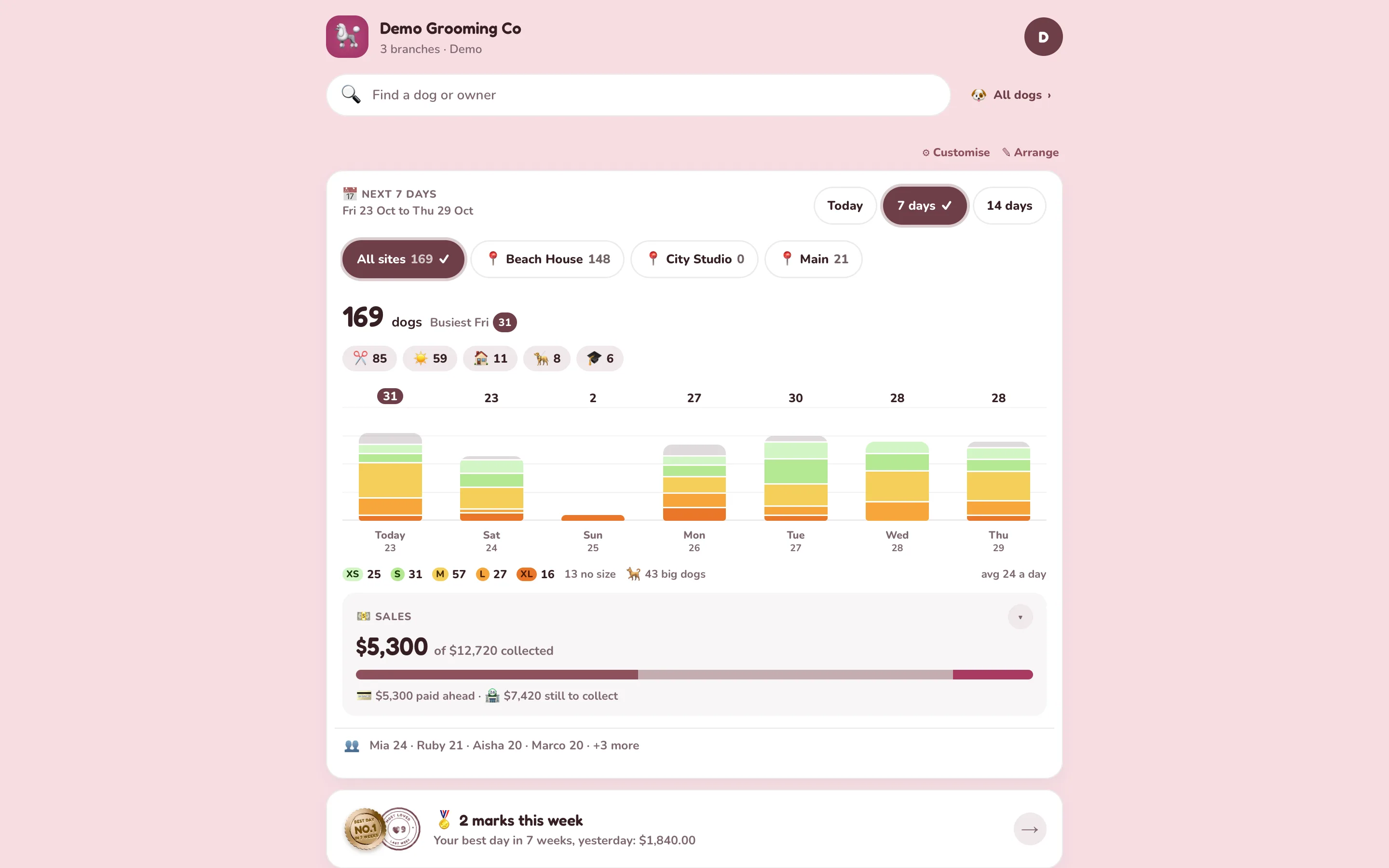 The shop's home screen on a laptop: what dogmode drove beside what it costs